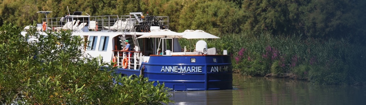 Anne Marie photo 3